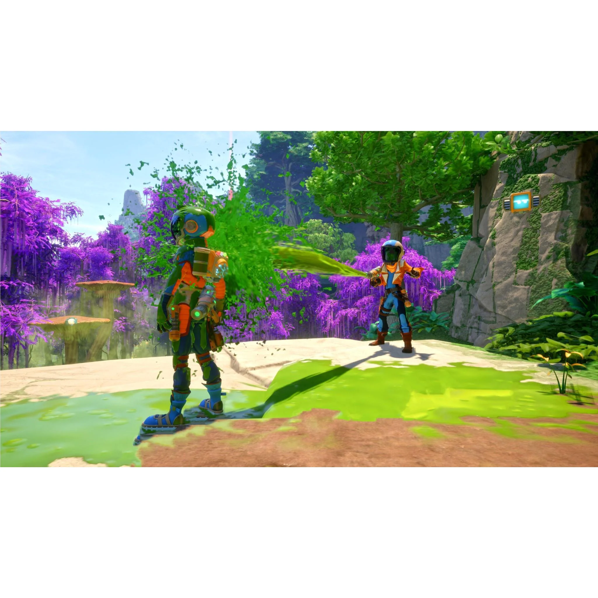 Thumbnail 8