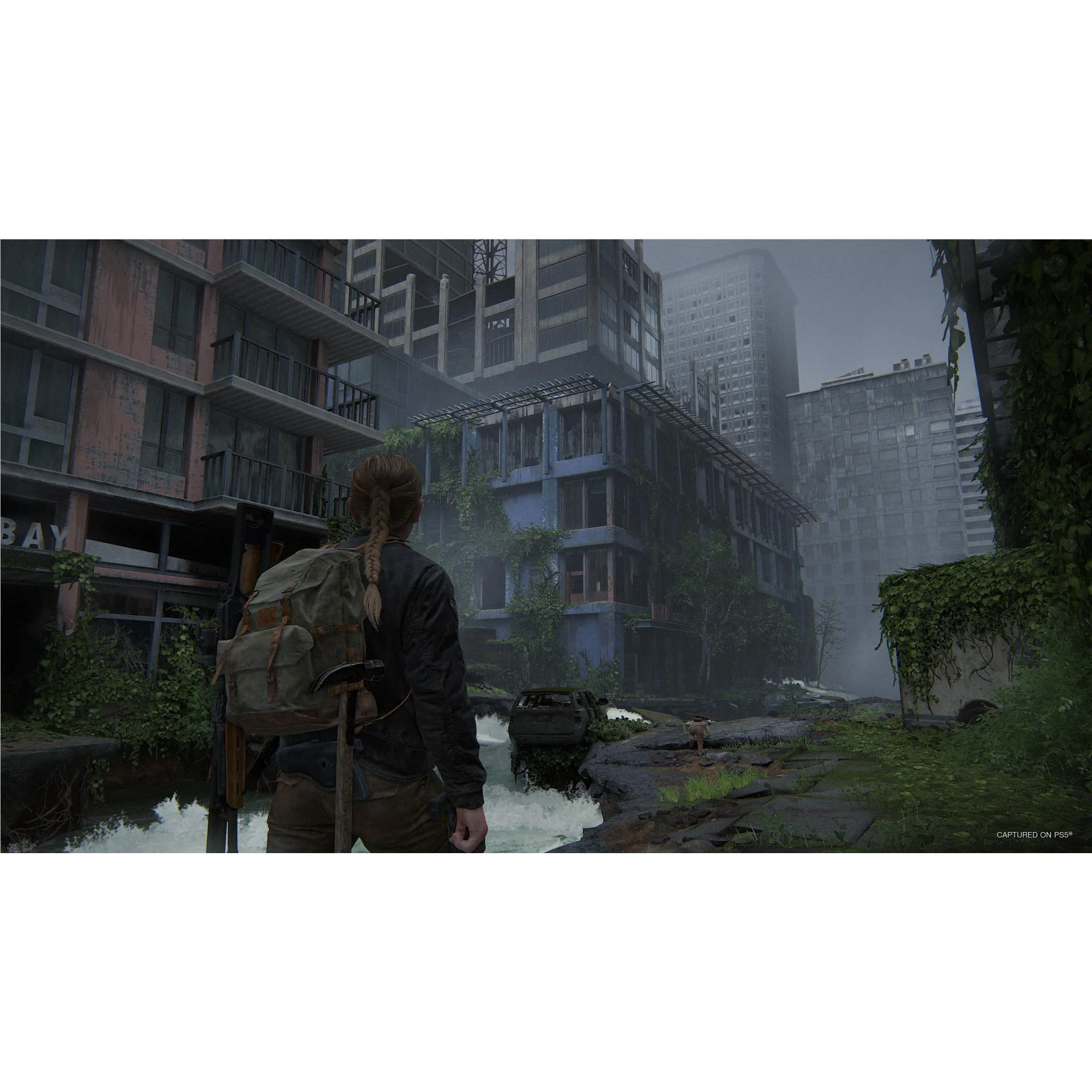 Thumbnail 14