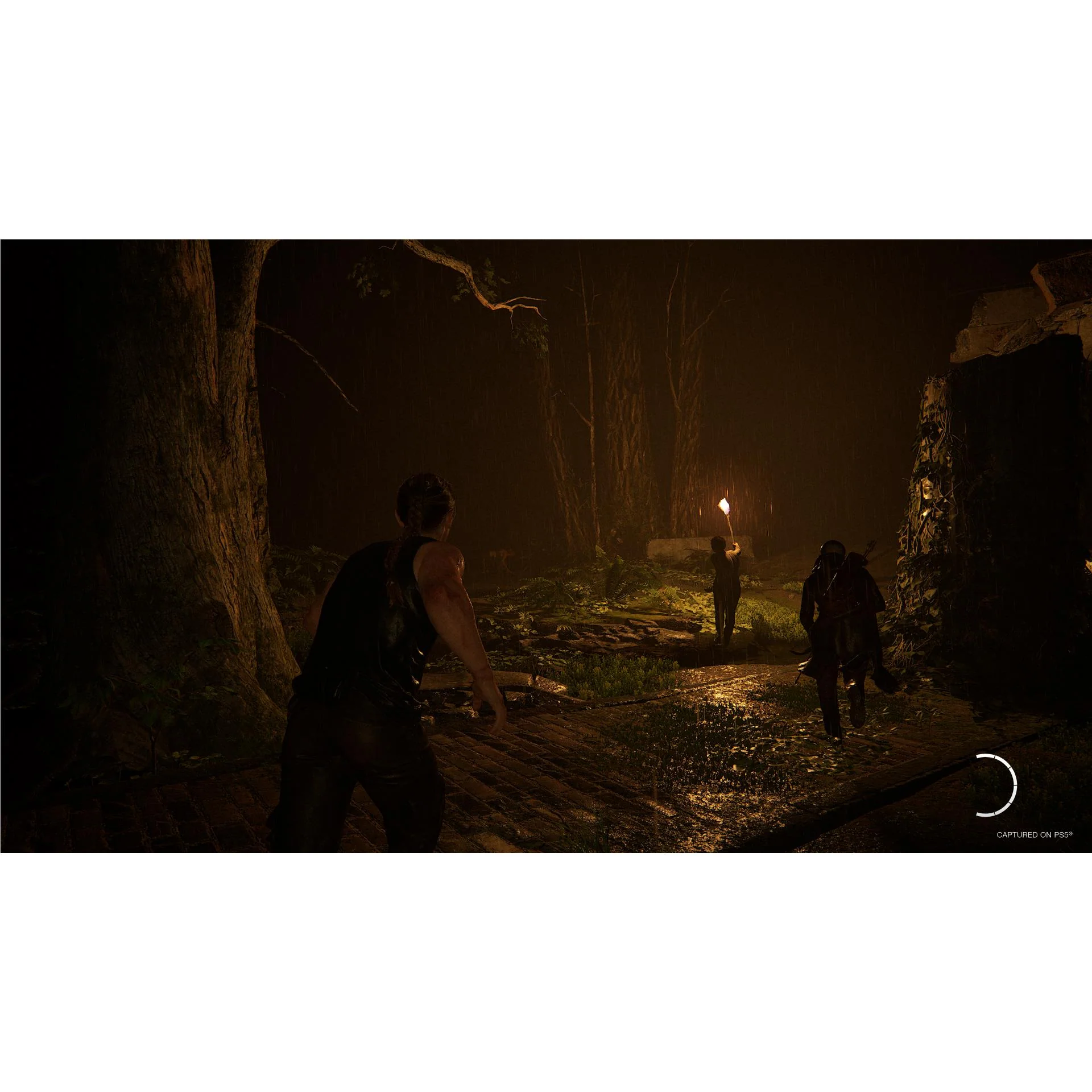 Thumbnail 16