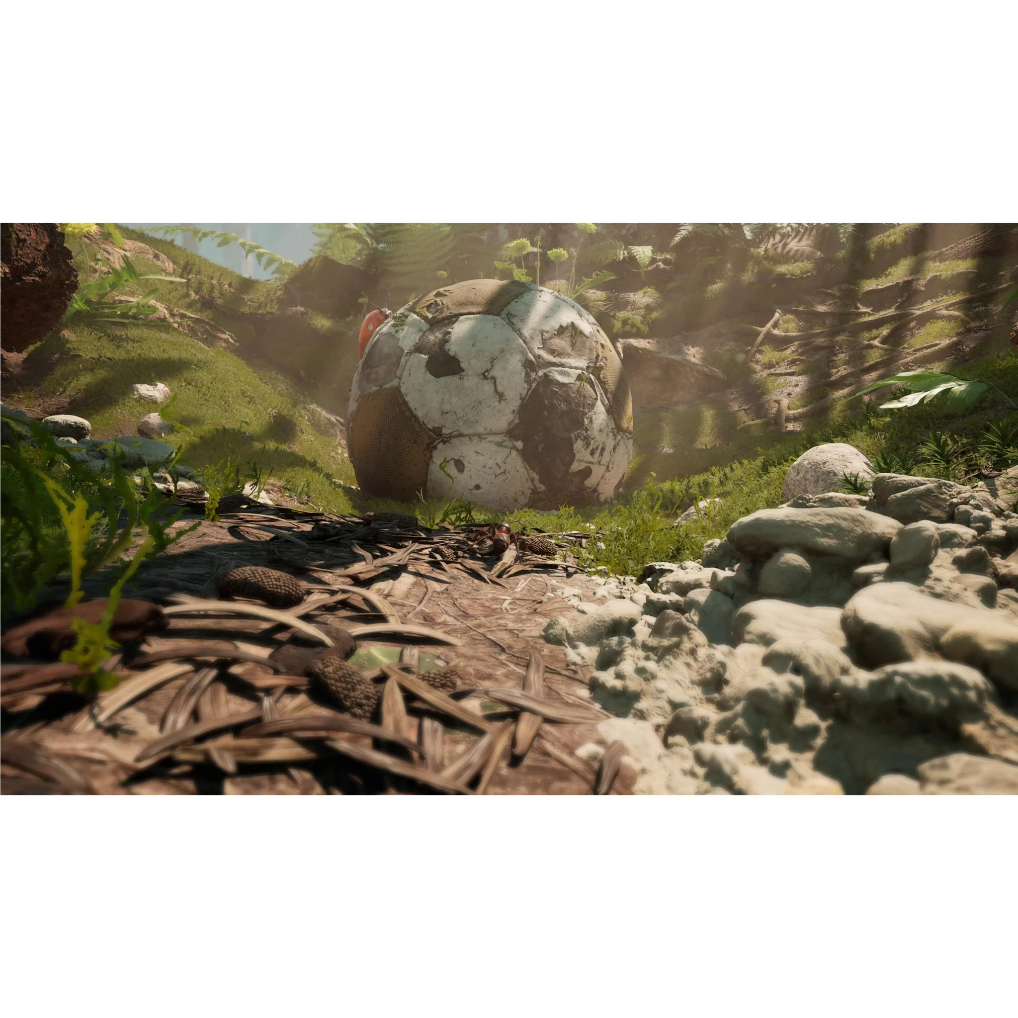 Thumbnail 7